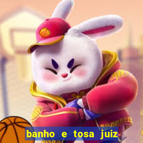 banho e tosa juiz de fora